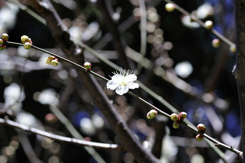 image0173