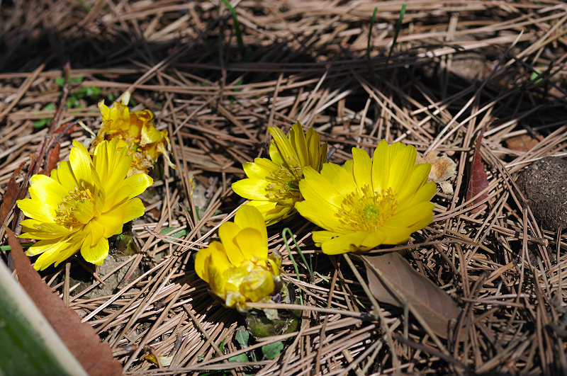 image0174