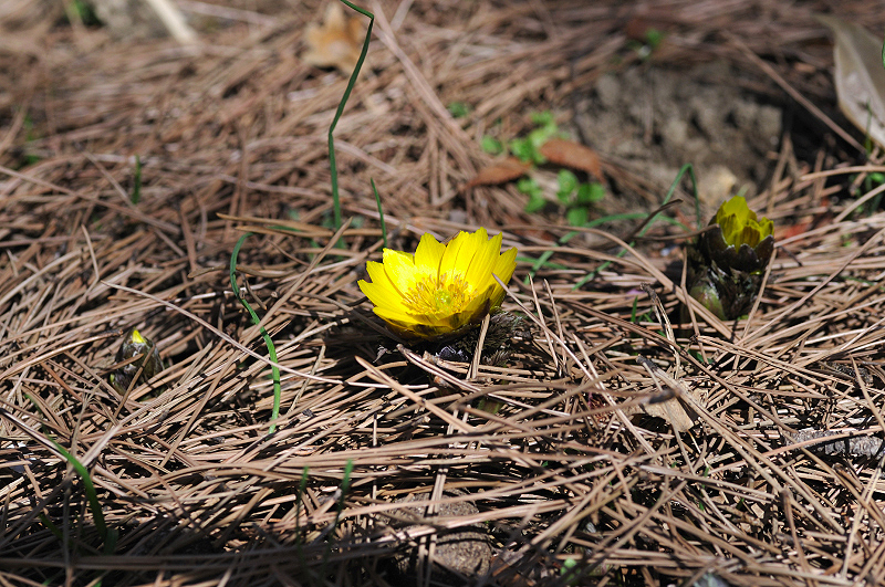 image0175