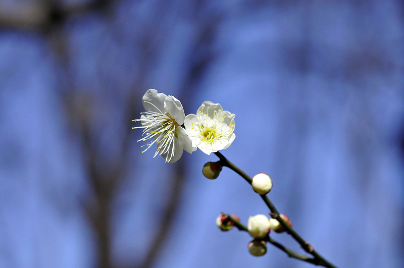 image0176