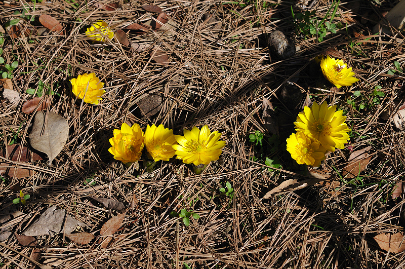 image0196
