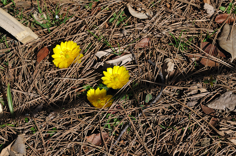image0197