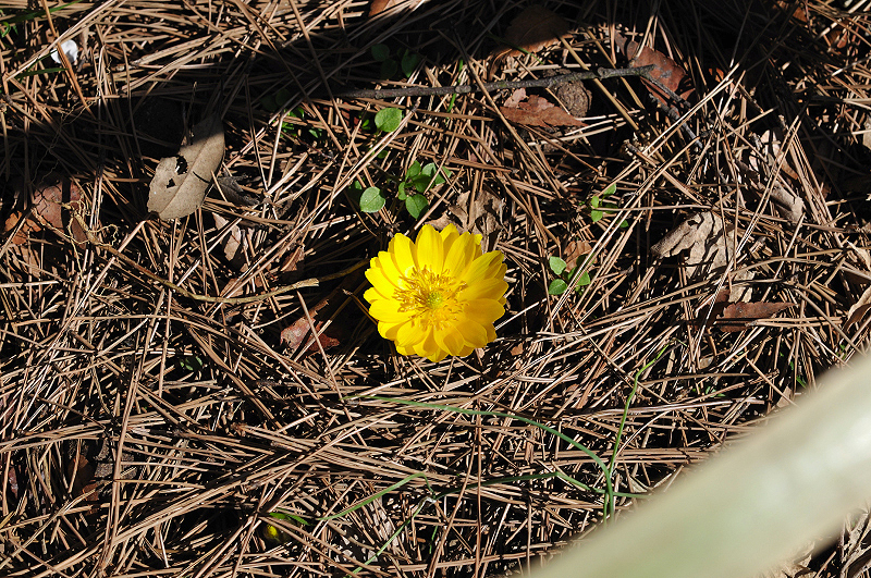image0198
