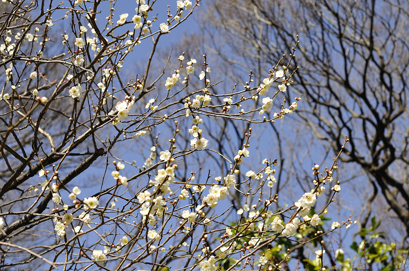 image0199