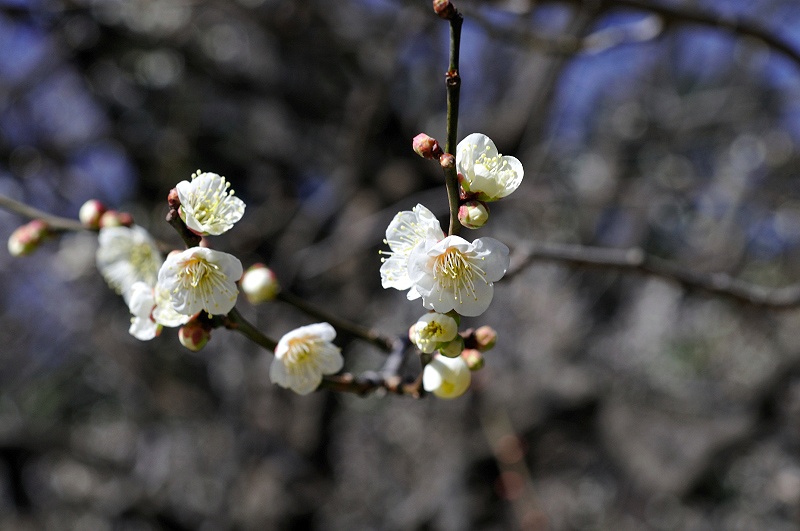 image0200