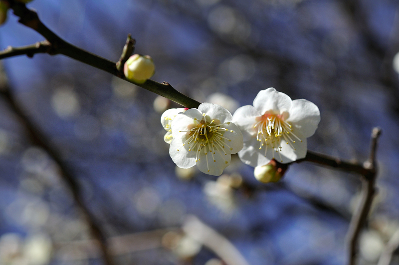 image0201
