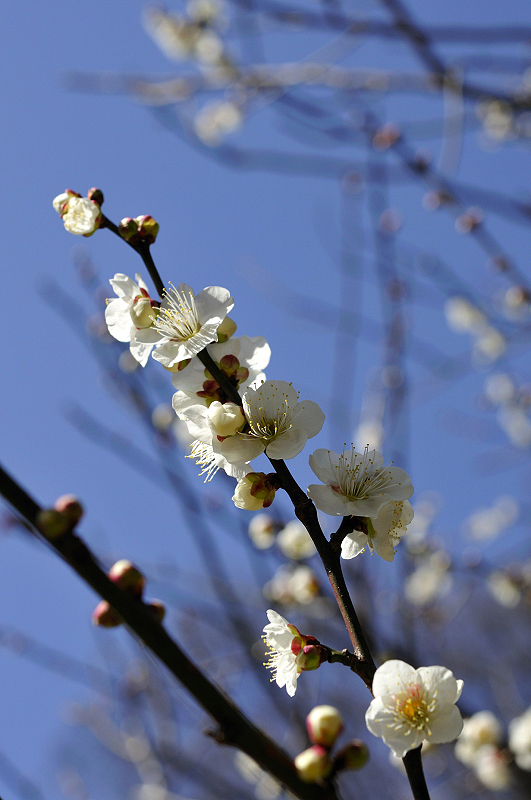 image0203