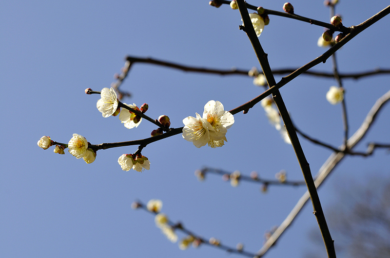 image0205