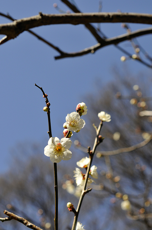 image0206