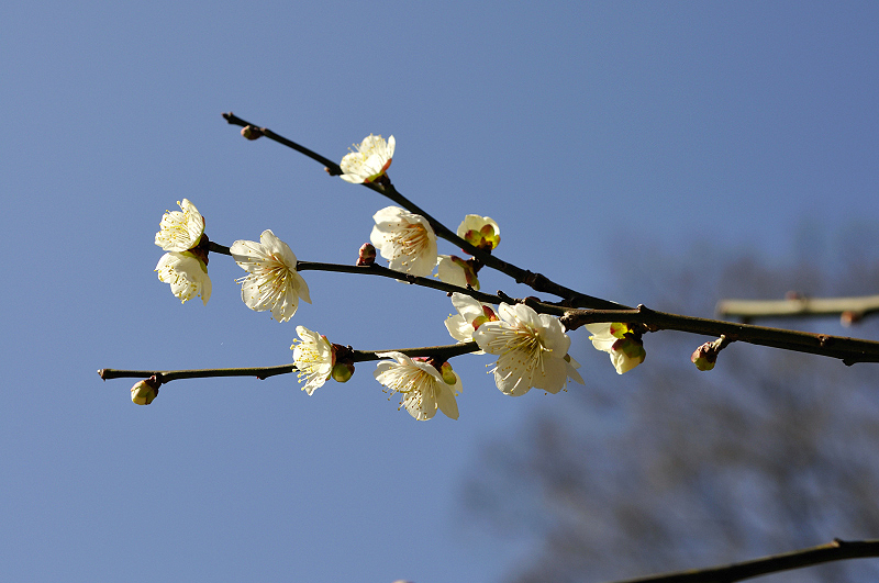 image0207