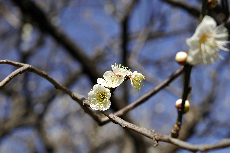 image0208