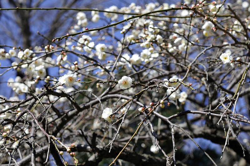 image0210
