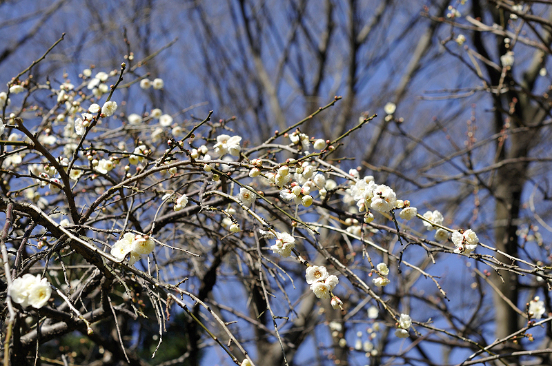 image0211