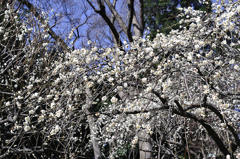 image0212