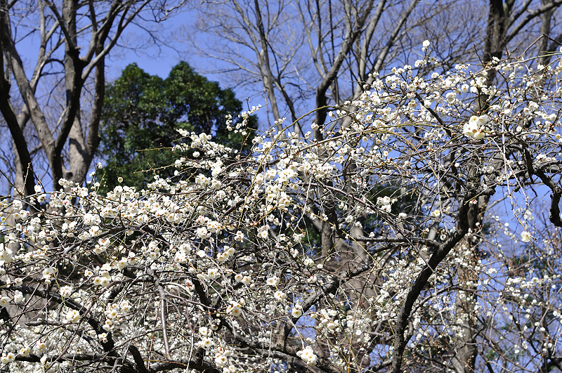 image0213