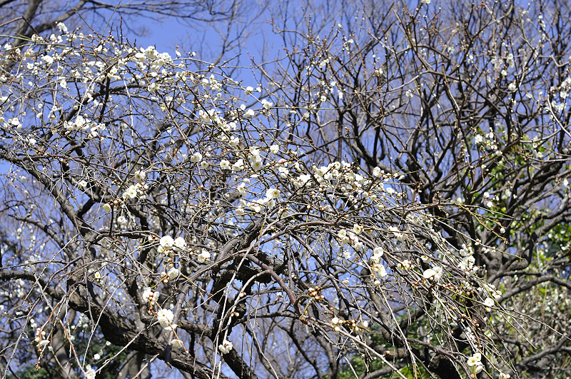 image0214