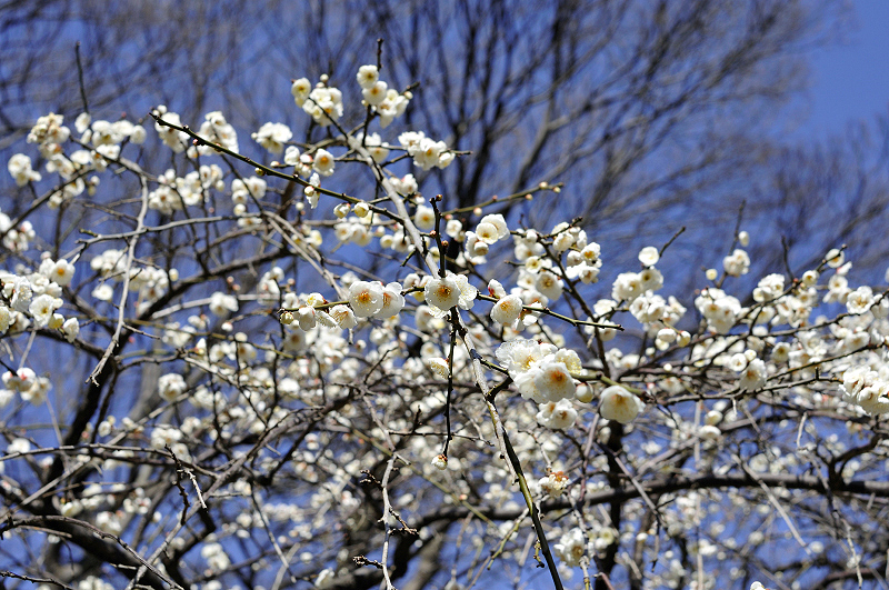 image0216