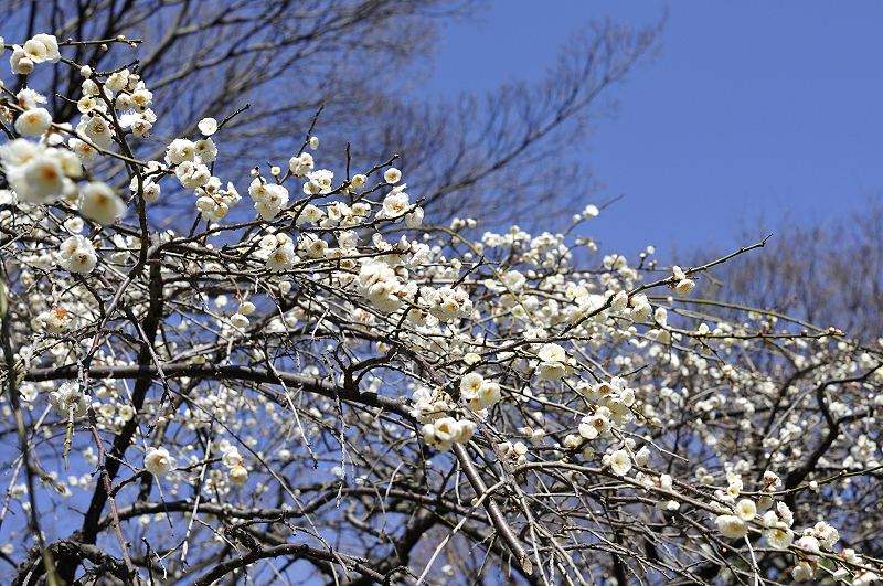 image0217