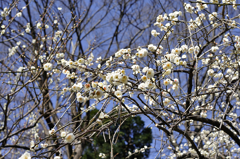 image0218