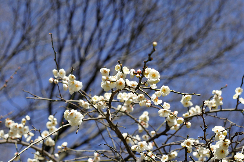 image0219