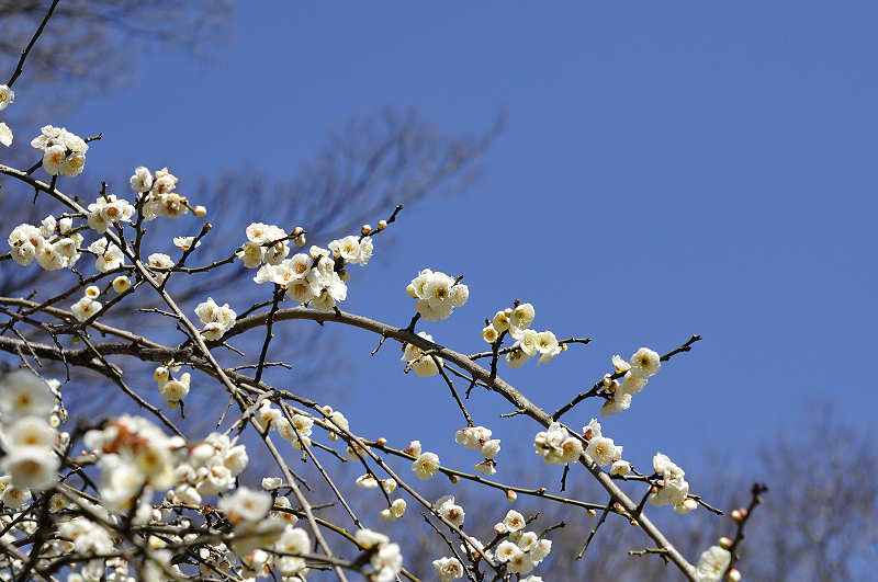 image0220