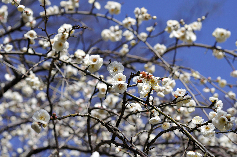 image0222