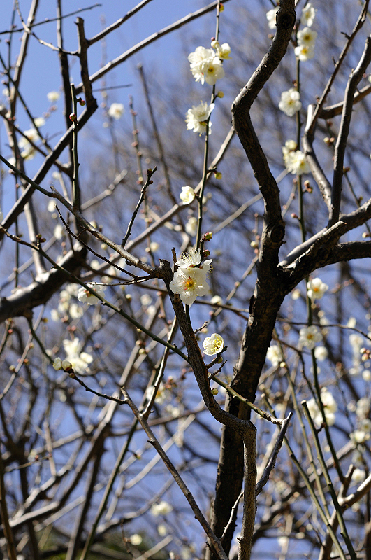image0226