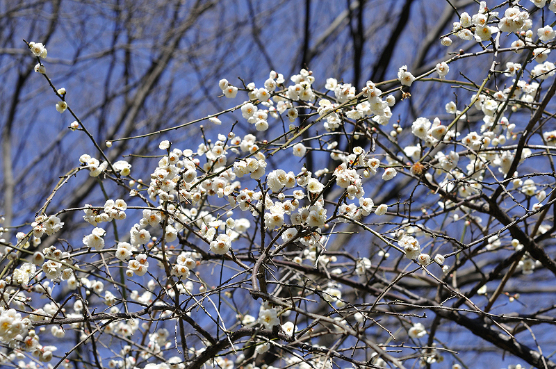 image0227