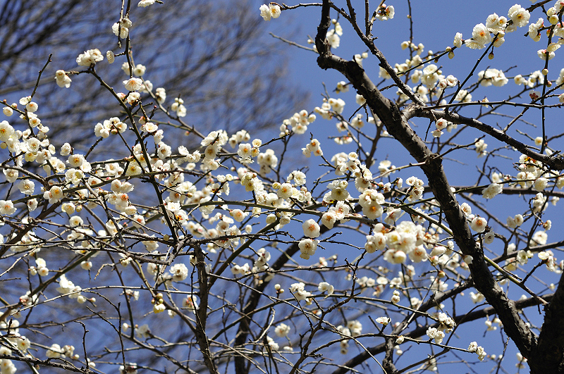 image0228