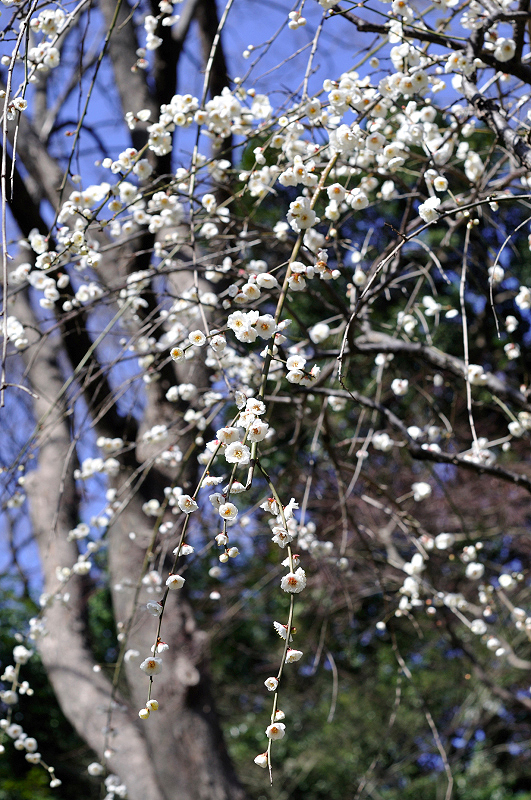 image0230