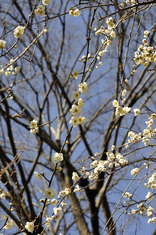 image0231