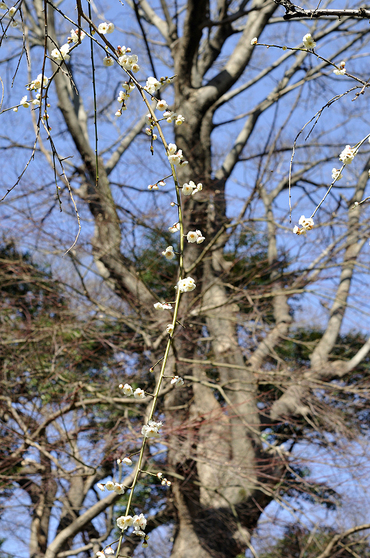 image0232