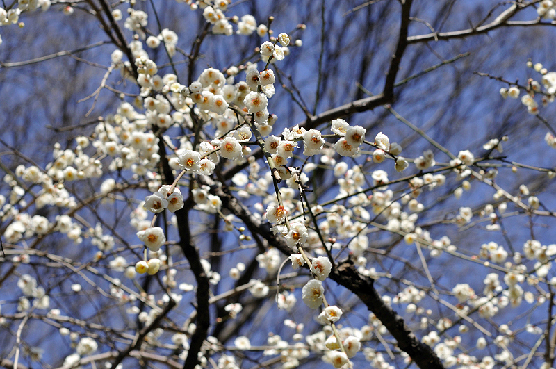 image0233