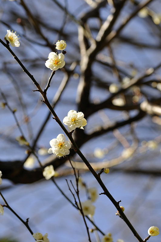 image0234