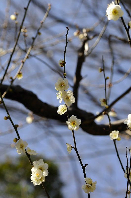 image0235