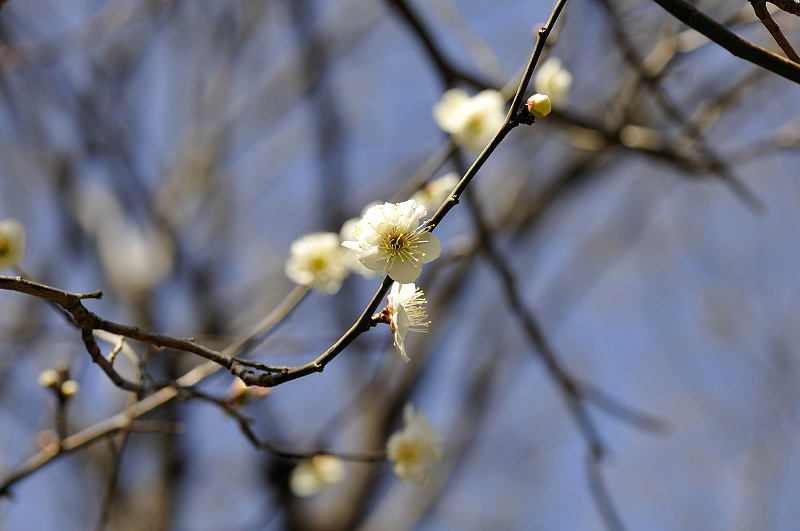 image0236