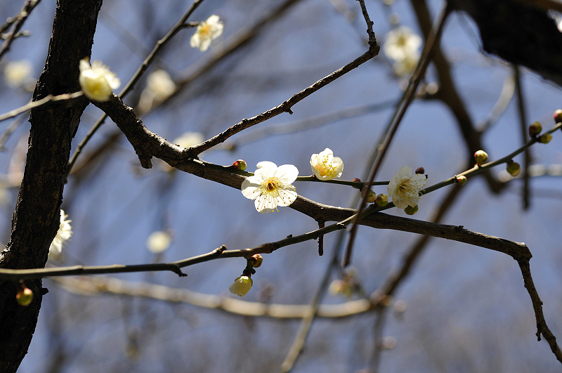 image0237