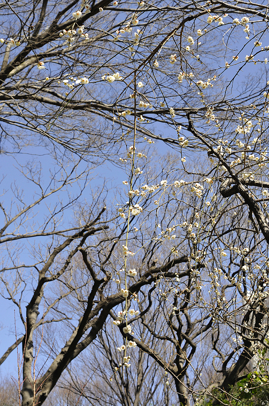 image0240