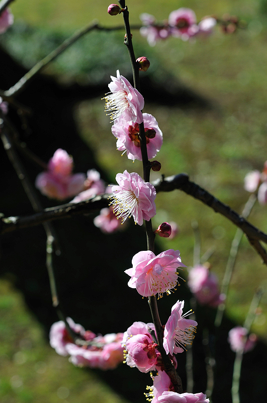 image0243