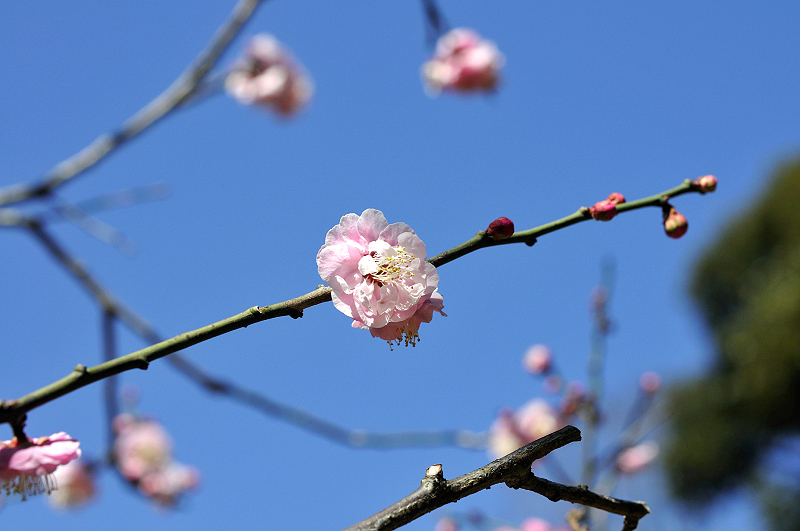 image0248