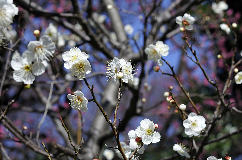 image0254