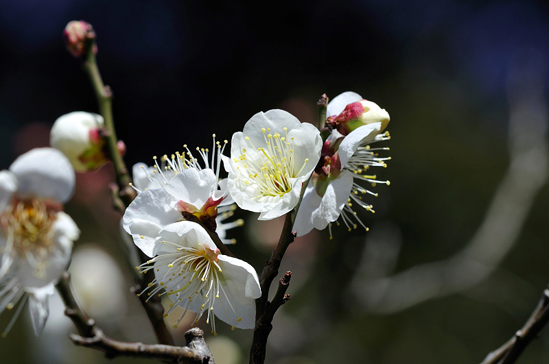 image0256