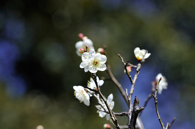 image0257
