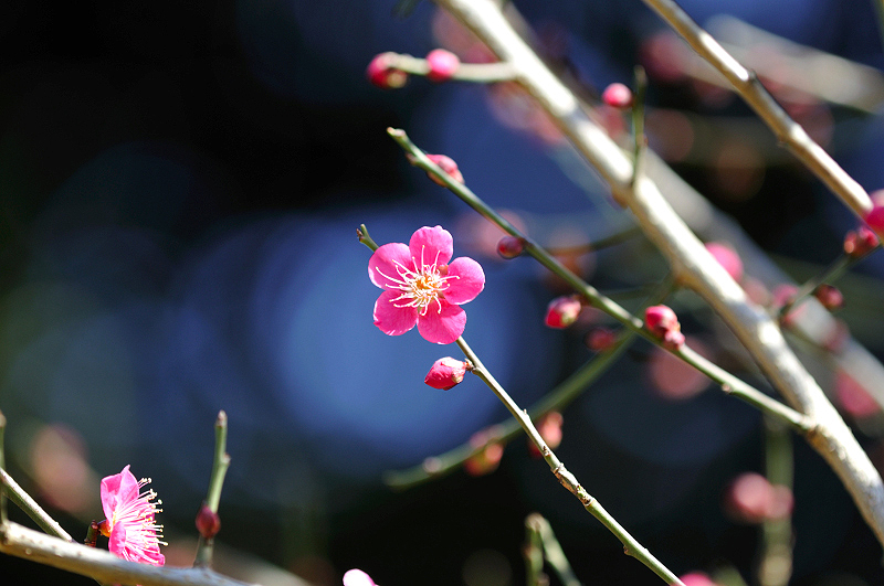 image0261