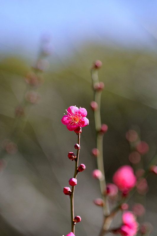 image0262