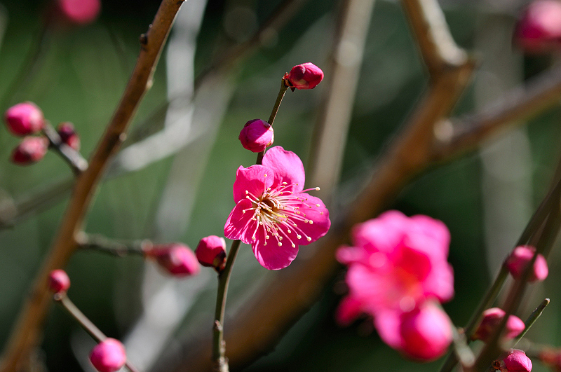 image0267
