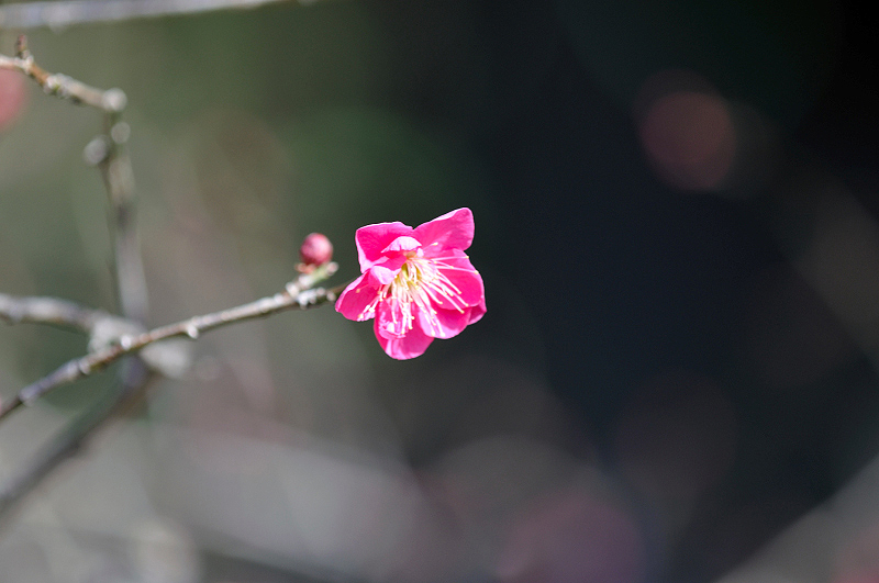 image0269