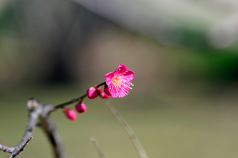 image0270