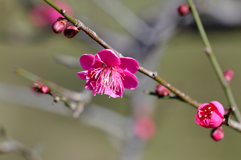 image0271