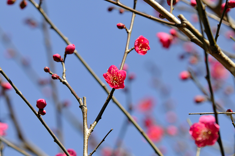 image0276